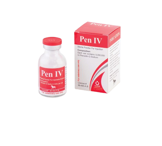 پن آی وی (Pen IV)