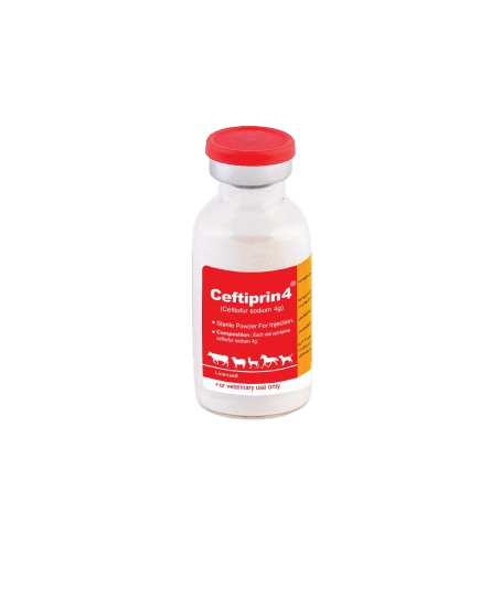 سفتی پرین 4 (Ceftiprin 4)