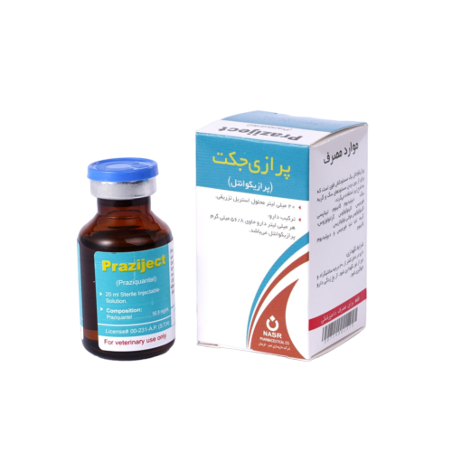 پرازی‌جکت (Praziject)