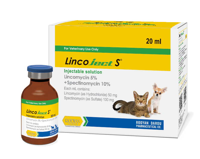 لینکوجکت اس Lincoject S