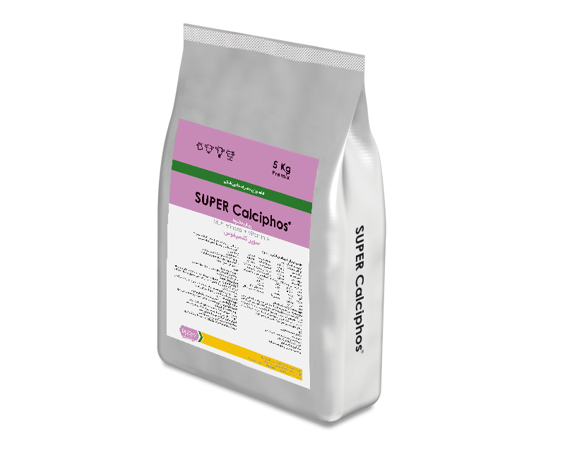 سوپر کلسیفوس