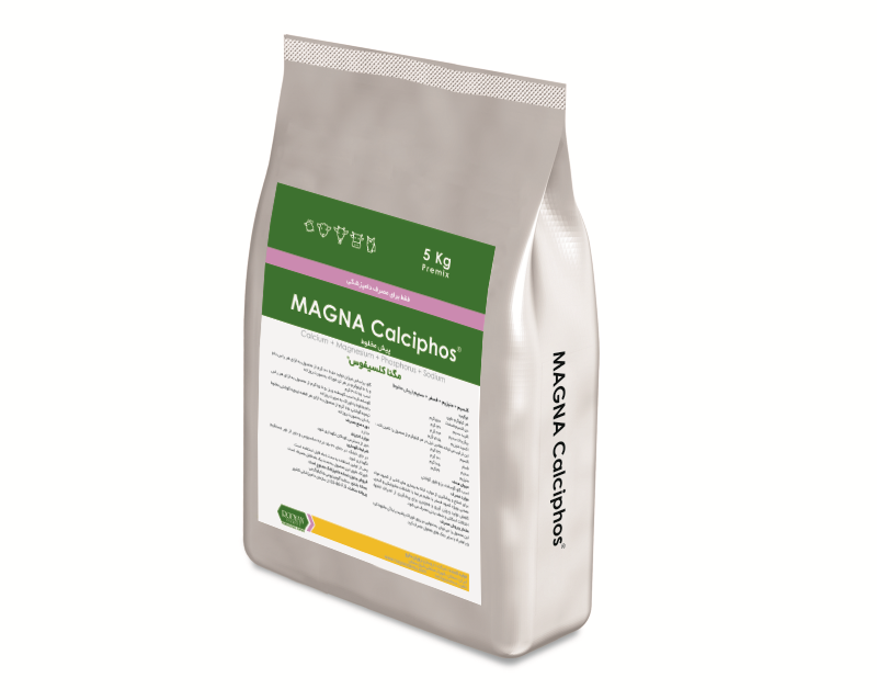 مگناکلسیفوس