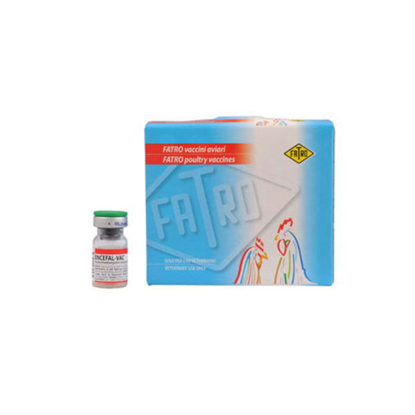 آنسفال وک  ENCEFAL  VAC