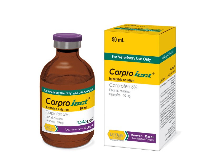 کارپروجکت Carproject