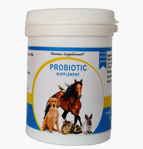 مکمل پروبیوتیک داماک