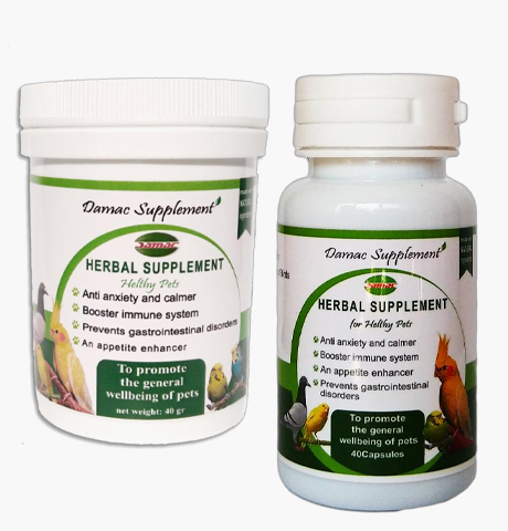 مکمل تقویتی  فیتوبیوتیک پرندگان زینتی داماک