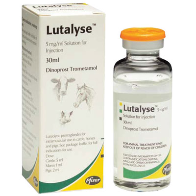 لوتالایز Lutalyse
