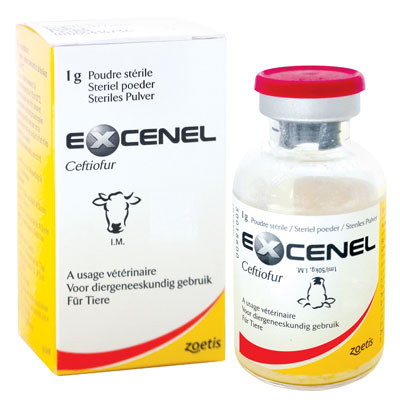 اکسنل 1گرمی  Excenel