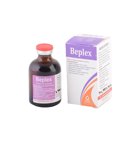بپلكس Beplex