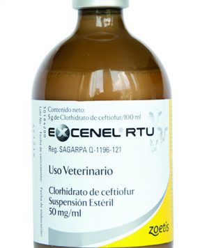 اکسنل آر تی یو | Excenel RTU