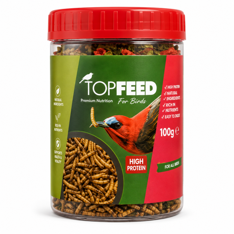 میل ورم خشک شده پرندگان تاپ فید Topfeed Dry Mealworm وزن 10 گرم