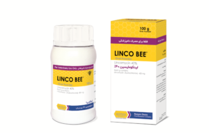 لینکو بی LINCO BEE