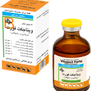 ويتاجكت فورت