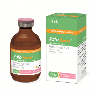 رافوجکت Rafoject