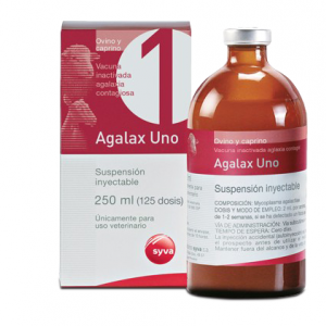 آگالاکس اٌنو | Agalax Uno