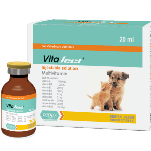 ویتاجکت Vitaject