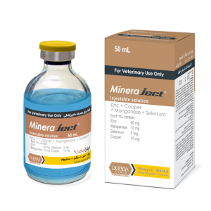 مینرا جکت Mineraject