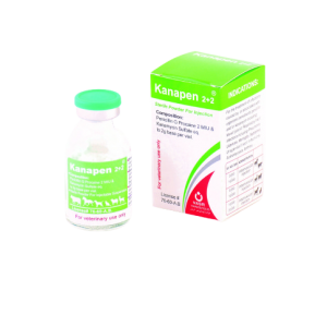 كاناپن 2+2 (Kanapen 2+2)