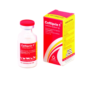 سفتی پرین 1 (Ceftiprin 1)