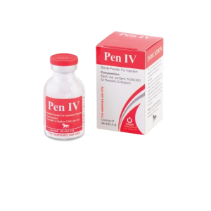 پن آی وی (Pen IV)