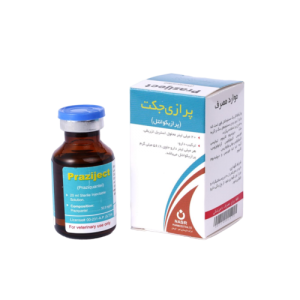 پرازی‌جکت (Praziject)