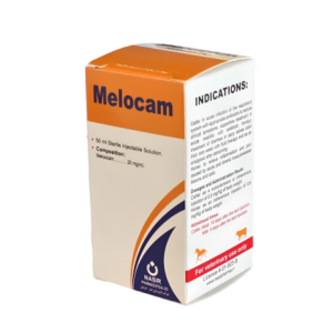 ملوکام (Melocam)