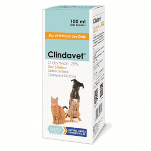کلینداوت  Clindavet