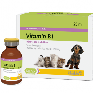 ویتامین ب 1 | Vitamin B1