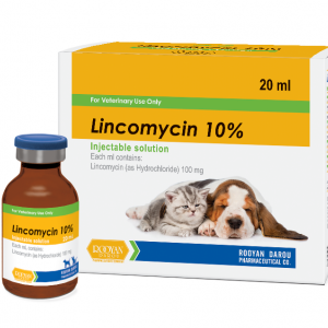 لینکومایسین 10% | Lincomycin 10%