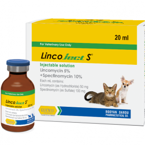 لینکوجکت اس Lincoject S