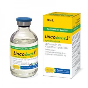 لینکوجکت اس  Lincoject S