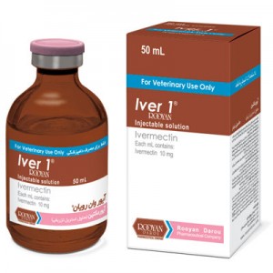 آیور وان رویان  Iver 1 Rooyan