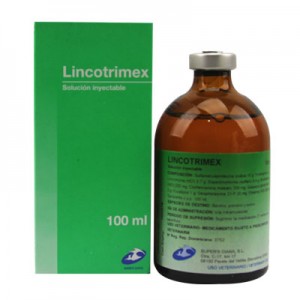 لينكوتريمكس Lincotrimex