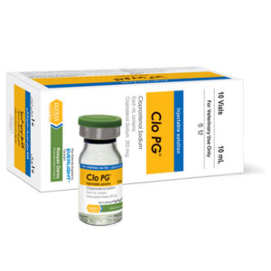 کلو پی جی  Clo PG