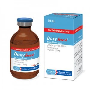 داکسی جکت   Doxyject