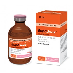 بوپاجکت  Bupaject