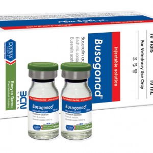 بوسوگوناد Busogonad