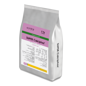 سوپر کلسیفوس