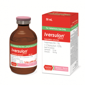 آیورسولون رویان