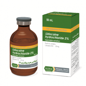 لیدوکائین هیدروکلراید 2%