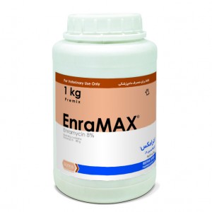 انرامکس  EnraMAX