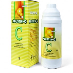 پوستین سی Poustin C