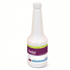 کتول رویان Ketol Rooyan