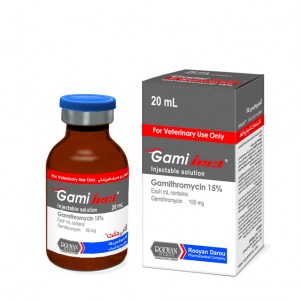 گامی جکت Gamiject