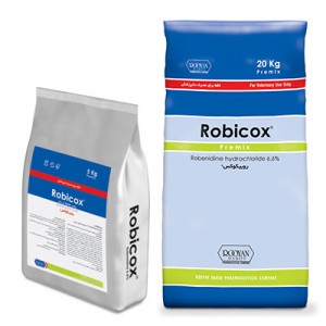 روبیکوکس  Robicox