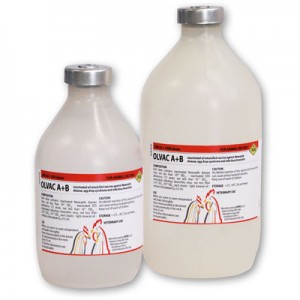 واکسن سه گانه کشته  OLVAC A + B