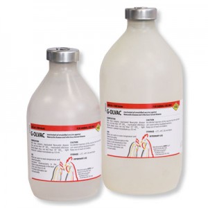 واکسن دوگانه کشته  G OLVAC