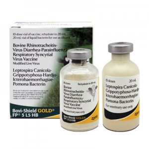 واکسن بوی شیلد گلد  Bovi-Shield GOLD FP 5 L5 HB