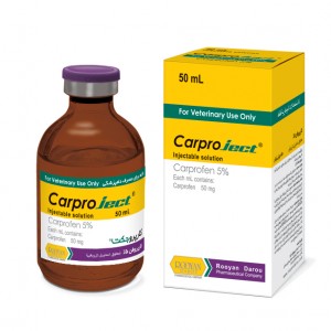 کارپروجکت Carproject