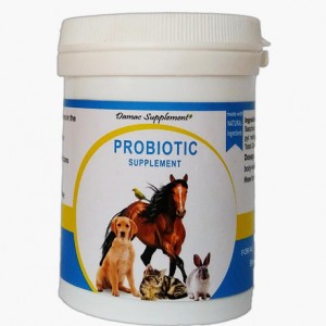 مکمل پروبیوتیک داماک